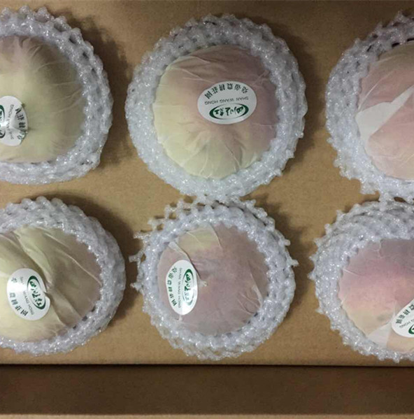 百樂源水蜜桃保鮮專用保鮮袋